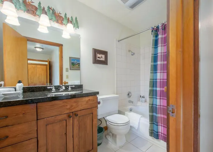 Apartment Rmr: Lupine 1914 In The Aspenswilsonwy Wilson
