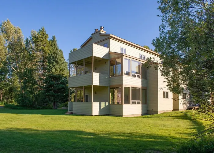 Rmr: Lupine 1914 In The Aspenswilsonwy Apartment Wilson